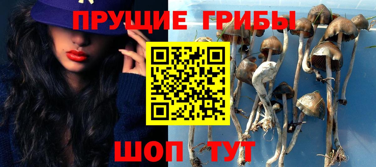 Галлюциногенные грибы GOLDEN TEACHER  Псилоцибиновые грибы Cubensis  Красный Сулин  Вход с VPN 