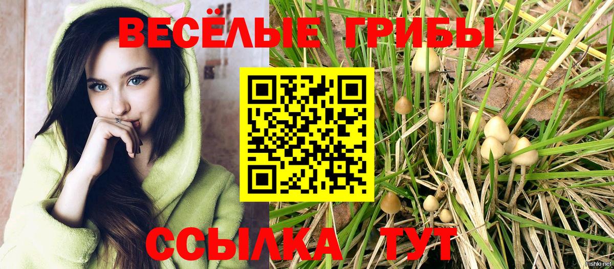 Галлюциногенные грибы Psilocybe Красный Сулин